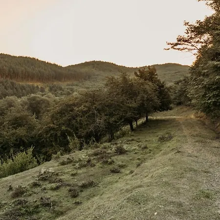 Vackorkert شقة Sirok