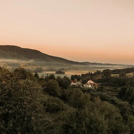 Vackorkert Apartman *