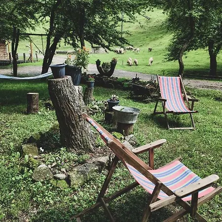 Apartman Vackorkert *