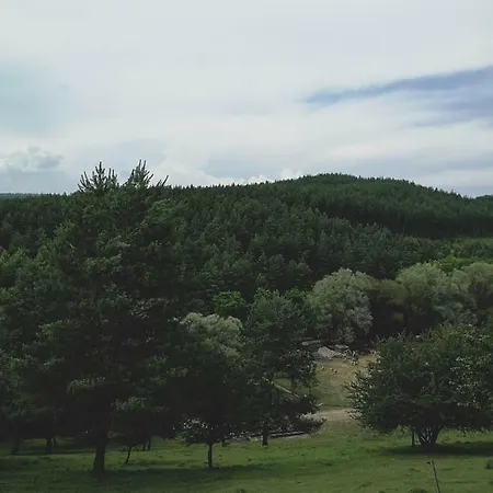 Lejlighed Vackorkert *