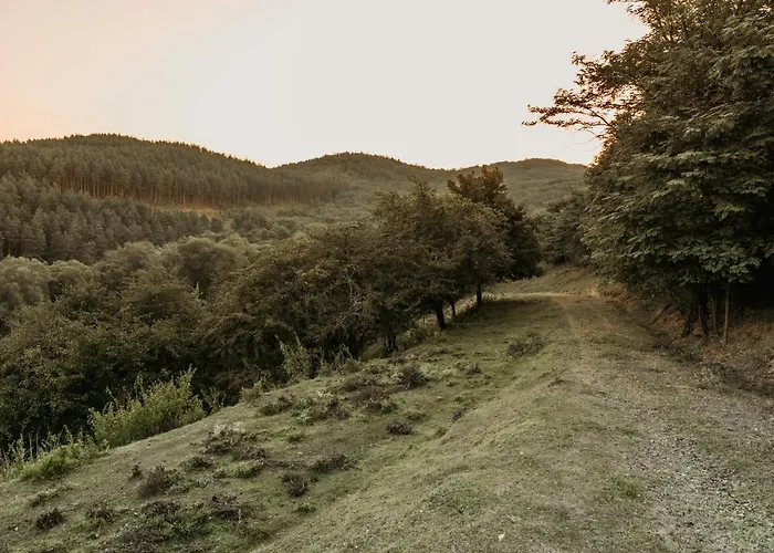 Vackorkert Daire Sirok