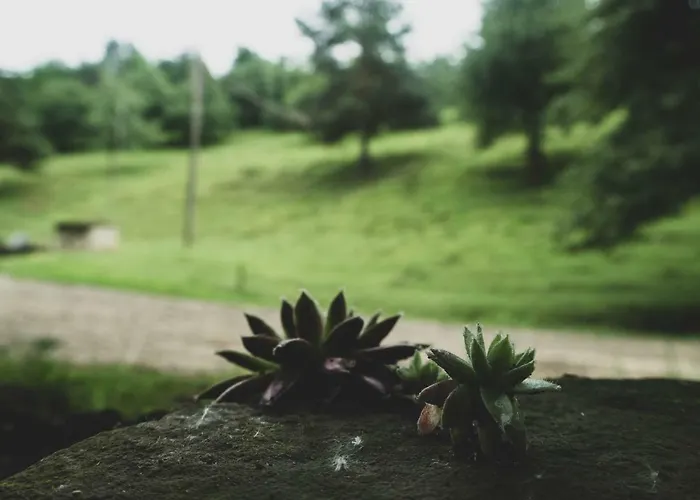 Vackorkert Appartamento